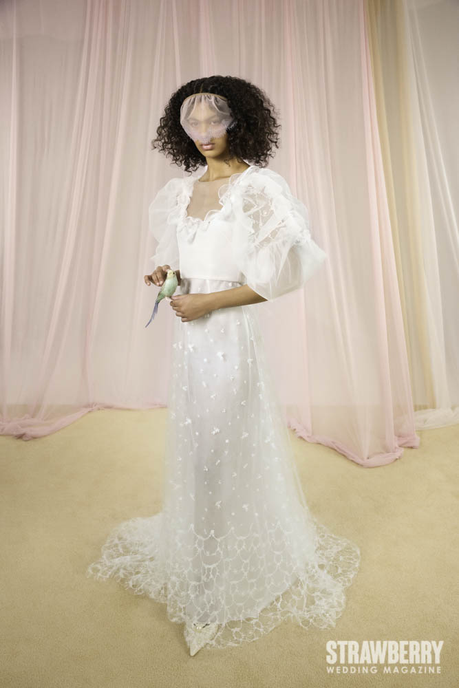 honor, designer, 2026, collection, fall, witer