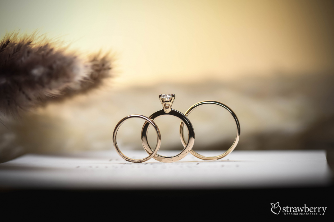 gold-wedding-rings-artistic-shoot